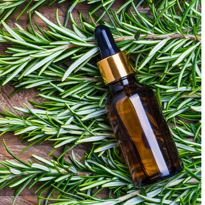 Rosemary & Mint infused Rosehip oil