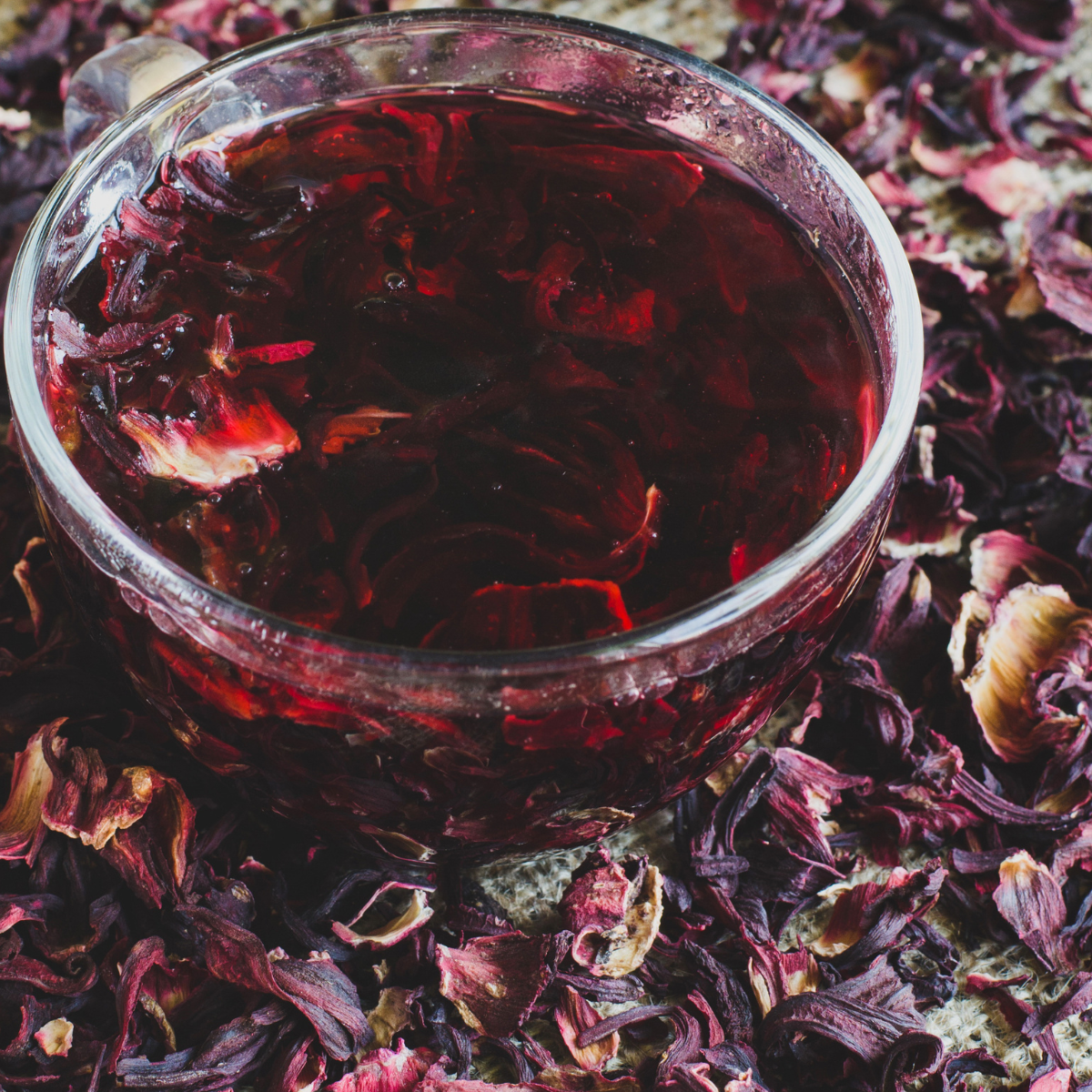 Hibiscus Floral Tincture