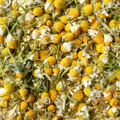 Chamomile Floral Tincture