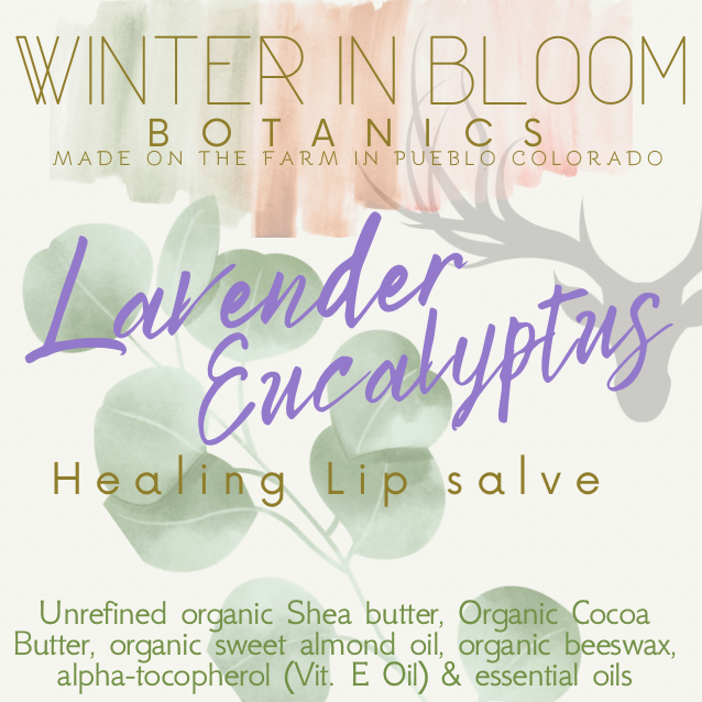 Lavender Eucalyptus Lip Salve