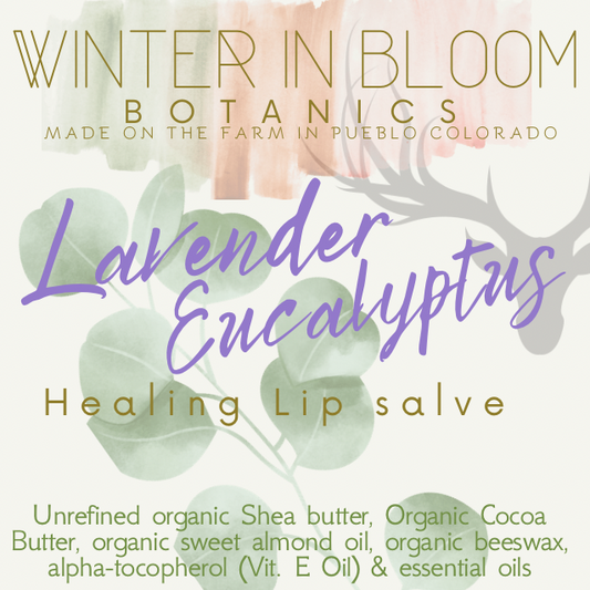 Lavender Eucalyptus Lip Salve